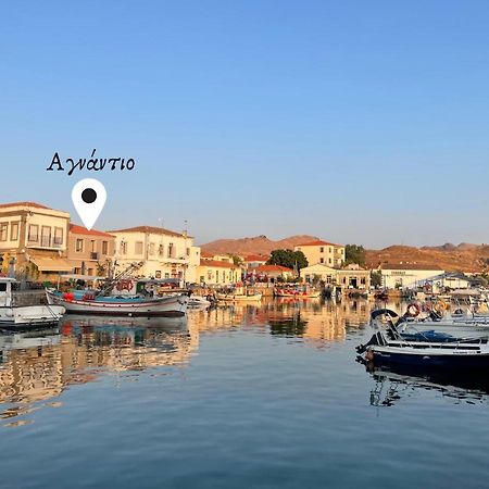 «Αγναντιο L» Δωμάτιο Με Μοναδική Θέα! Міріна Екстер'єр фото